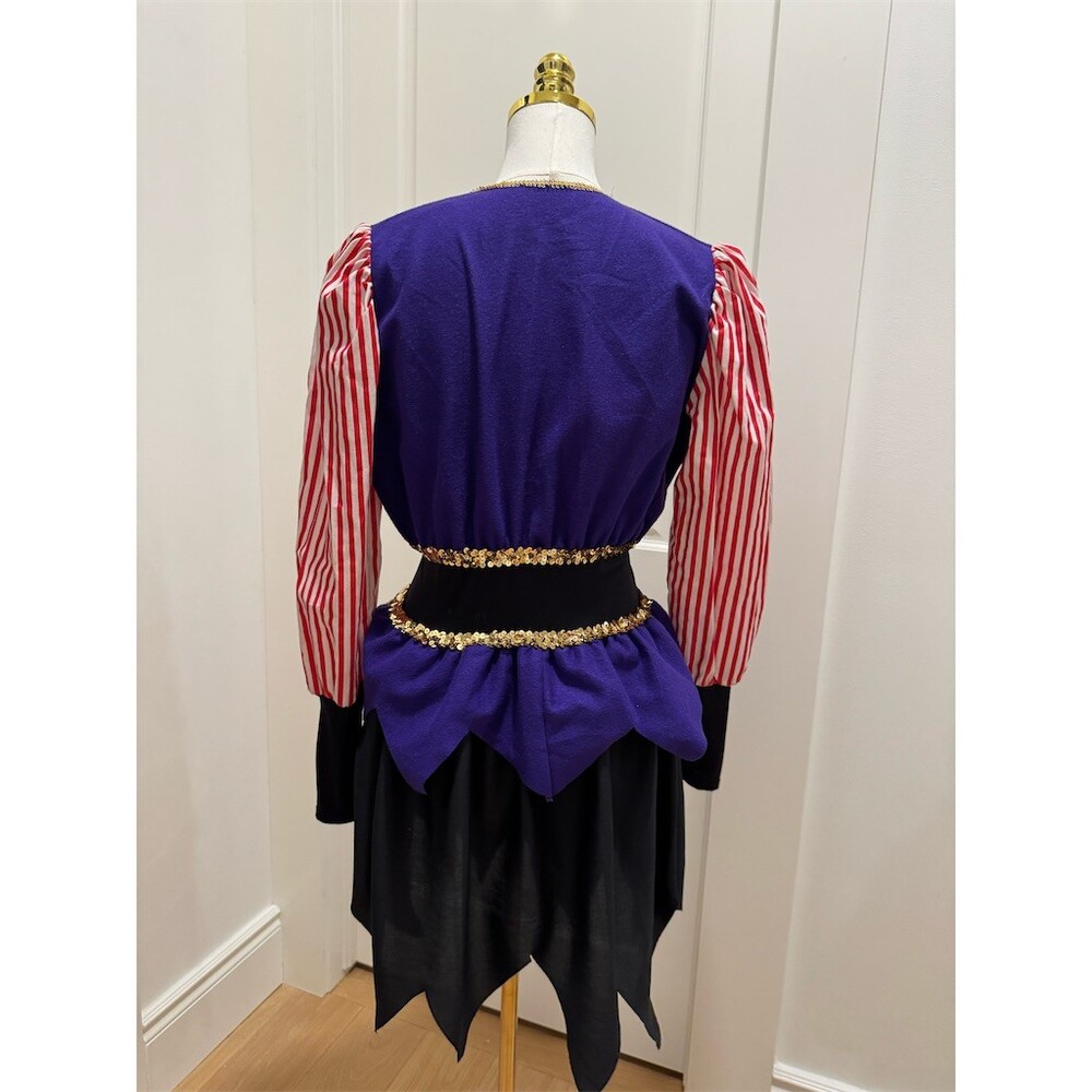 Rare Unique Vintage Childcraft Court Jester Harlequin Costume Dress Womens Small - Picture 10 of 14